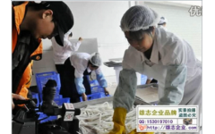央视“致富经”采访连州农产品加工龙头企业